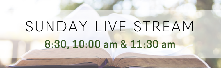Sunday Live Stream