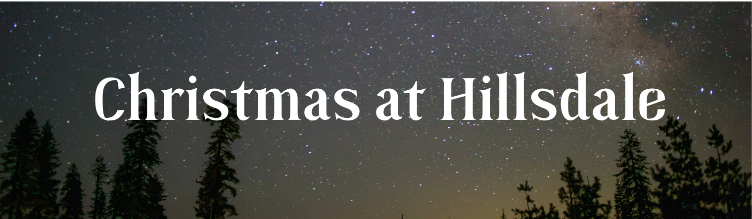 Christmas 2025 Banner